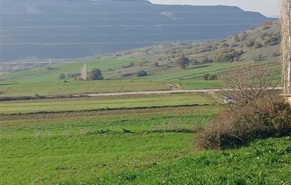 C21 LOCA'DAN BİGADİÇ ÇAMKÖY'DE DOĞA MANZARALI SATILIK TARLALAR