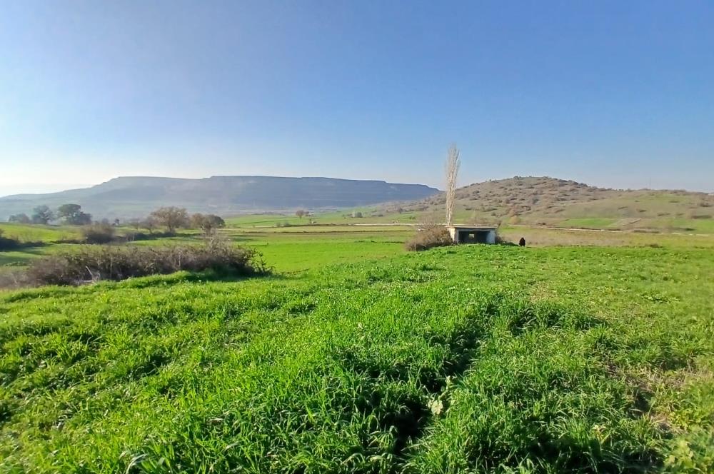 C21 LOCA'DAN BİGADİÇ ÇAMKÖY'DE DOĞA MANZARALI SATILIK TARLALAR