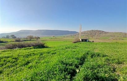 C21 LOCA'DAN BİGADİÇ ÇAMKÖY'DE DOĞA MANZARALI SATILIK TARLALAR