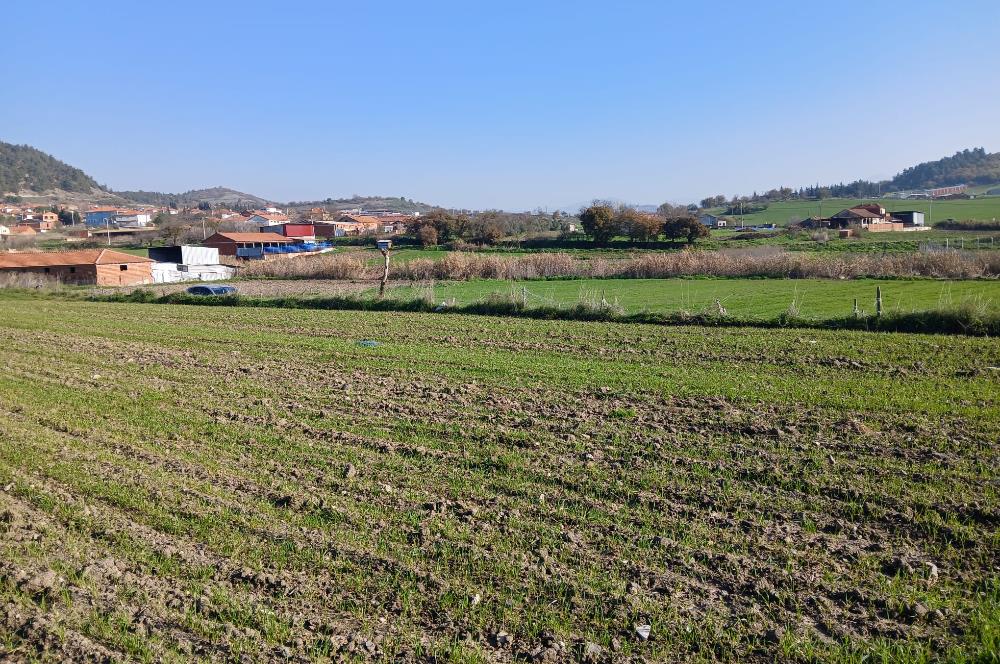 C21 LOCA'DAN BİGADİÇ ÇAMKÖY'DE GÖL MANZARALI 878M2 SATILIK TARLA