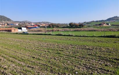 C21 LOCA'DAN BİGADİÇ ÇAMKÖY'DE GÖL MANZARALI 878M2 SATILIK TARLA