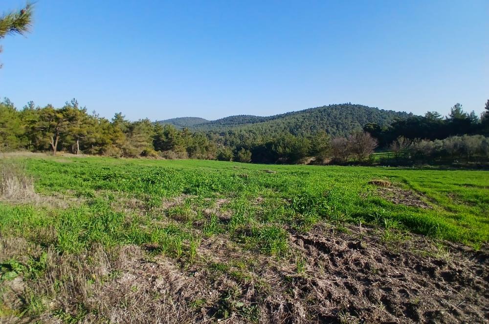 C21 LOCA'DAN BİGADİÇ ÇAMKÖY MAHALLESİNDE 1846,28M2 SATILIK TARLA