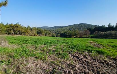 C21 LOCA'DAN BİGADİÇ ÇAMKÖY MAHALLESİNDE 1846,28M2 SATILIK TARLA