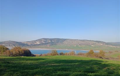 C21 LOCA'DAN BİGADİÇ ÇAMKÖY MAHALLESİNDE ACİL SATILIK TARLA