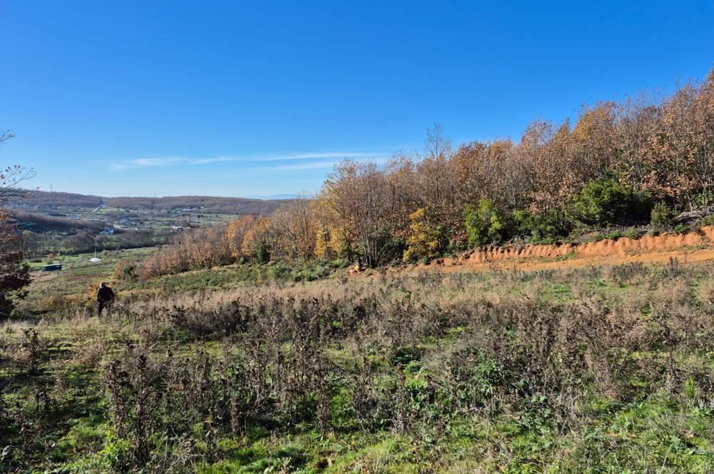 C21 Cius; Haydariye'de İmarlı Yolu Hazır 1852 m2 Arsa