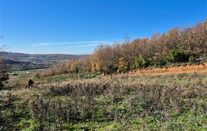 C21 Cius; Haydariye'de İmarlı Yolu Hazır 1852 m2 Arsa