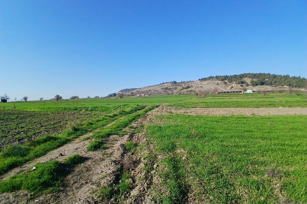 C21 LOCA'DAN BİGADİÇ ÇAMKÖY'DE GÖL MANZARALI 878M2 SATILIK TARLA