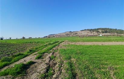 C21 LOCA'DAN BİGADİÇ ÇAMKÖY'DE GÖL MANZARALI 878M2 SATILIK TARLA