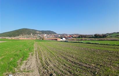 C21 LOCA'DAN BİGADİÇ ÇAMKÖY'DE GÖL MANZARALI 878M2 SATILIK TARLA