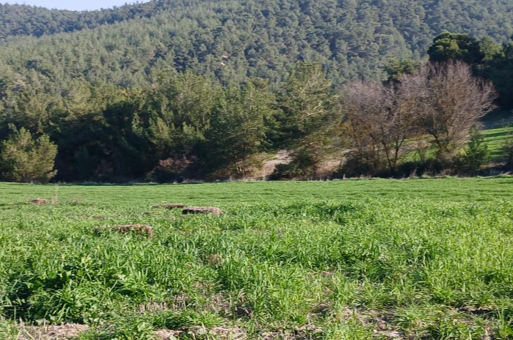 C21 LOCA'DAN BİGADİÇ ÇAMKÖY MAHALLESİNDE 1846,28M2 SATILIK TARLA