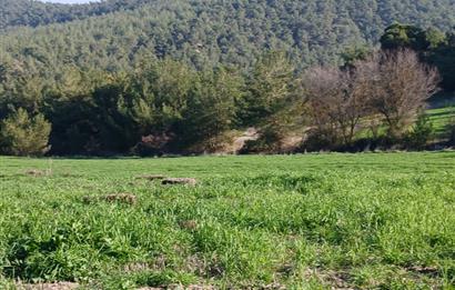 C21 LOCA'DAN BİGADİÇ ÇAMKÖY MAHALLESİNDE 1846,28M2 SATILIK TARLA