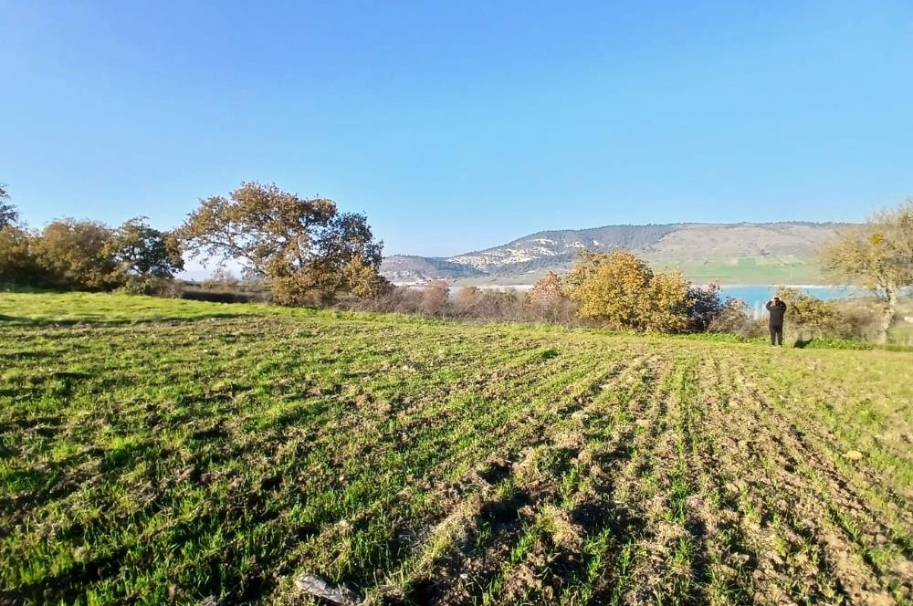 C21 LOCA'DAN BİGADİÇ ÇAMKÖY MAHALLESİNDE ACİL SATILIK TARLA