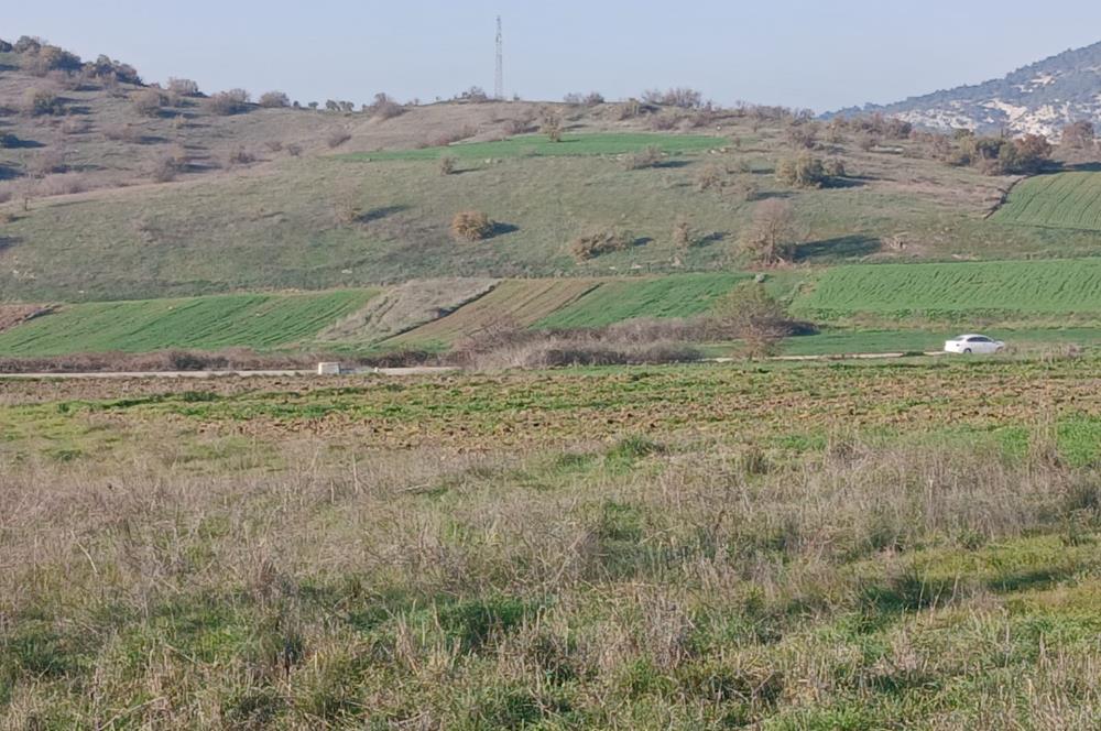 C21 LOCA'DAN BİGADİÇ ÇAMKÖY'DE DOĞA MANZARALI SATILIK TARLALAR
