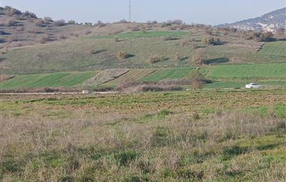 C21 LOCA'DAN BİGADİÇ ÇAMKÖY'DE DOĞA MANZARALI SATILIK TARLALAR