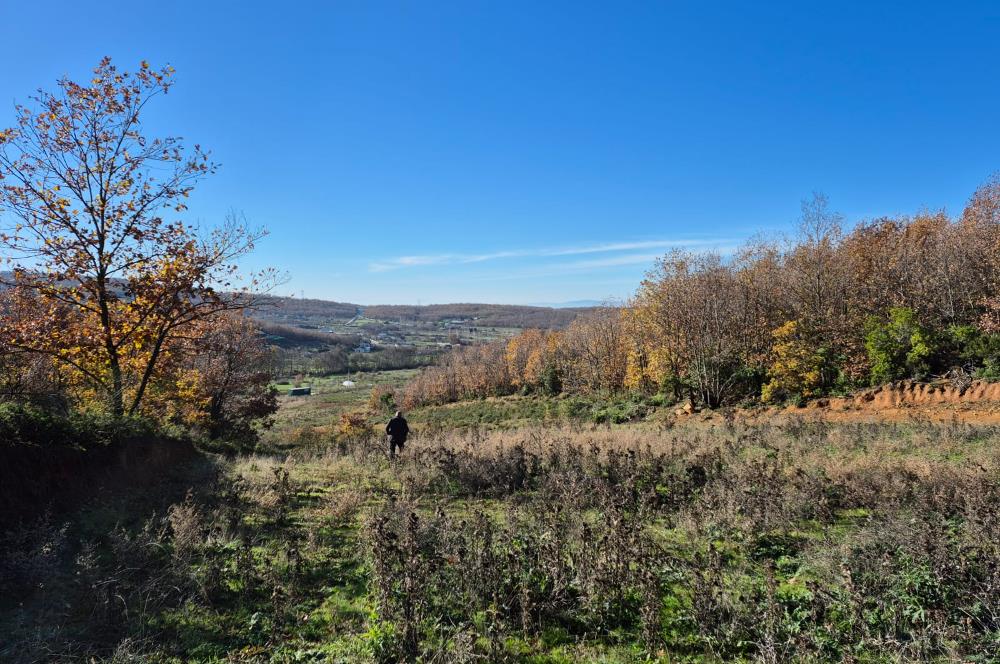 C21 Cius; Haydariye'de İmarlı Yolu Hazır 1852 m2 Arsa