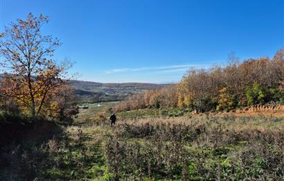 C21 Cius; Haydariye'de İmarlı Yolu Hazır 1852 m2 Arsa