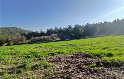 C21 LOCA'DAN BİGADİÇ ÇAMKÖY MAHALLESİNDE 1846,28M2 SATILIK TARLA