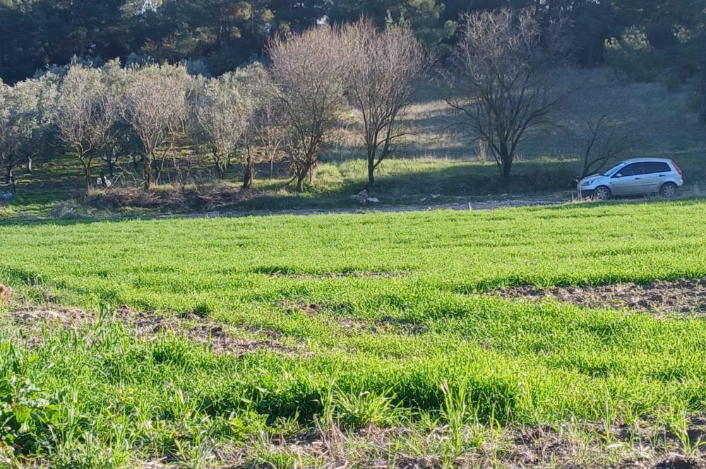 C21 LOCA'DAN BİGADİÇ ÇAMKÖY MAHALLESİNDE 1846,28M2 SATILIK TARLA