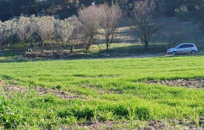 C21 LOCA'DAN BİGADİÇ ÇAMKÖY MAHALLESİNDE 1846,28M2 SATILIK TARLA