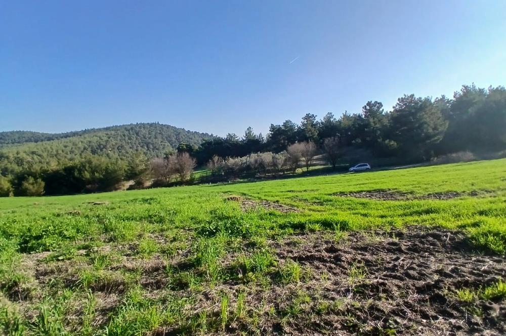 C21 LOCA'DAN BİGADİÇ ÇAMKÖY MAHALLESİNDE 1846,28M2 SATILIK TARLA