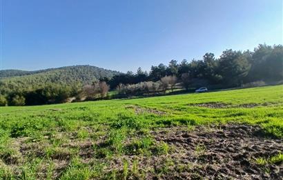 C21 LOCA'DAN BİGADİÇ ÇAMKÖY MAHALLESİNDE 1846,28M2 SATILIK TARLA