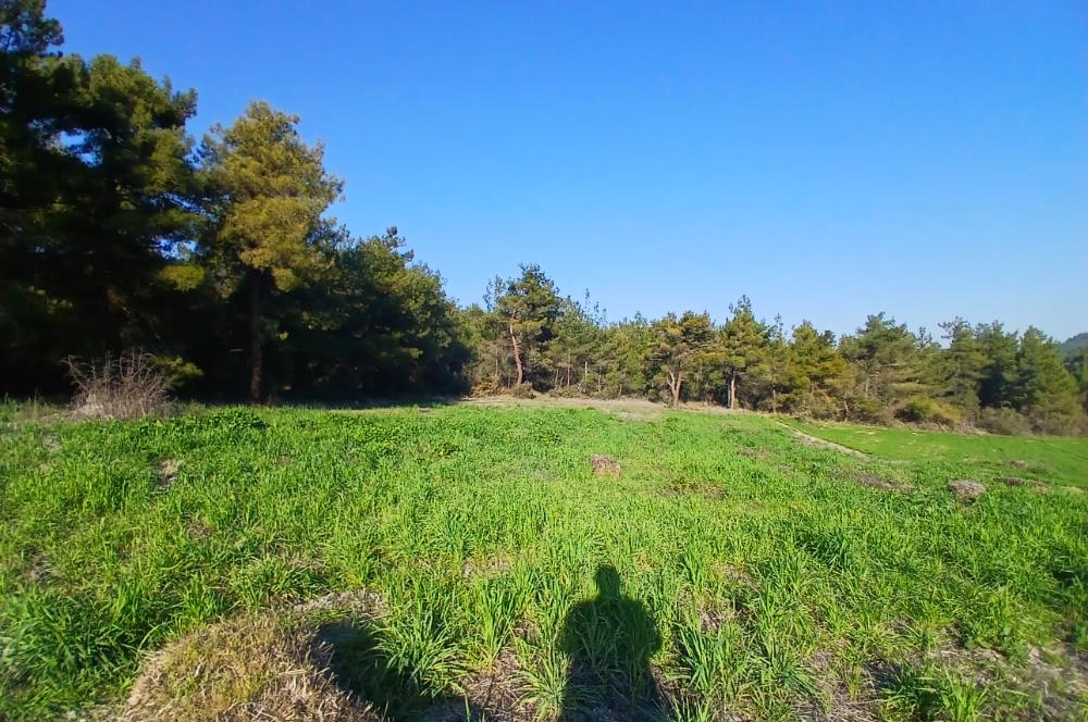 C21 LOCA'DAN BİGADİÇ ÇAMKÖY MAHALLESİNDE 1846,28M2 SATILIK TARLA