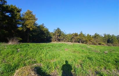 C21 LOCA'DAN BİGADİÇ ÇAMKÖY MAHALLESİNDE 1846,28M2 SATILIK TARLA