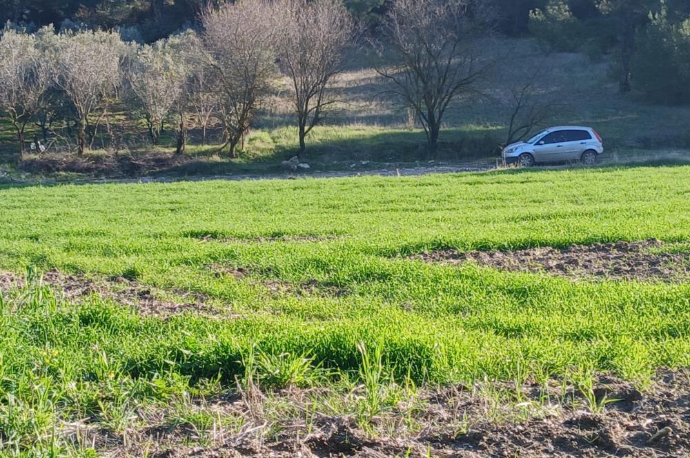 C21 LOCA'DAN BİGADİÇ ÇAMKÖY MAHALLESİNDE 1846,28M2 SATILIK TARLA