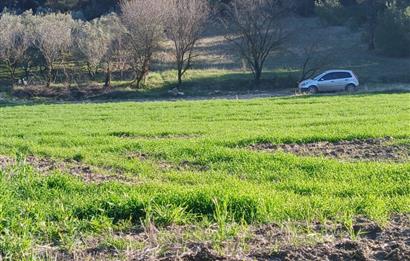 C21 LOCA'DAN BİGADİÇ ÇAMKÖY MAHALLESİNDE 1846,28M2 SATILIK TARLA