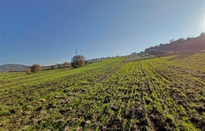 C21 LOCA'DAN BİGADİÇ ÇAMKÖY MAHALLESİNDE ACİL SATILIK TARLA