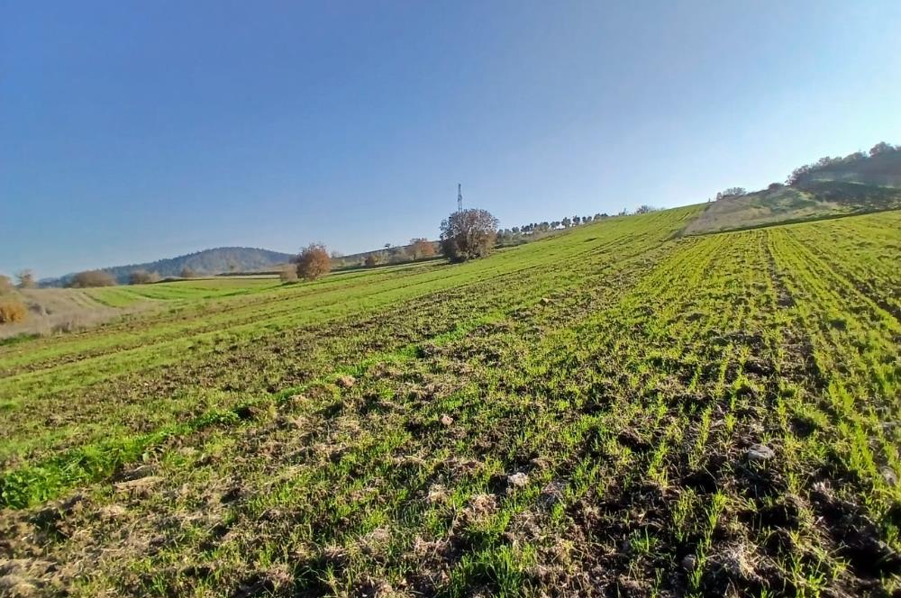 C21 LOCA'DAN BİGADİÇ ÇAMKÖY MAHALLESİNDE ACİL SATILIK TARLA