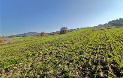 C21 LOCA'DAN BİGADİÇ ÇAMKÖY MAHALLESİNDE ACİL SATILIK TARLA