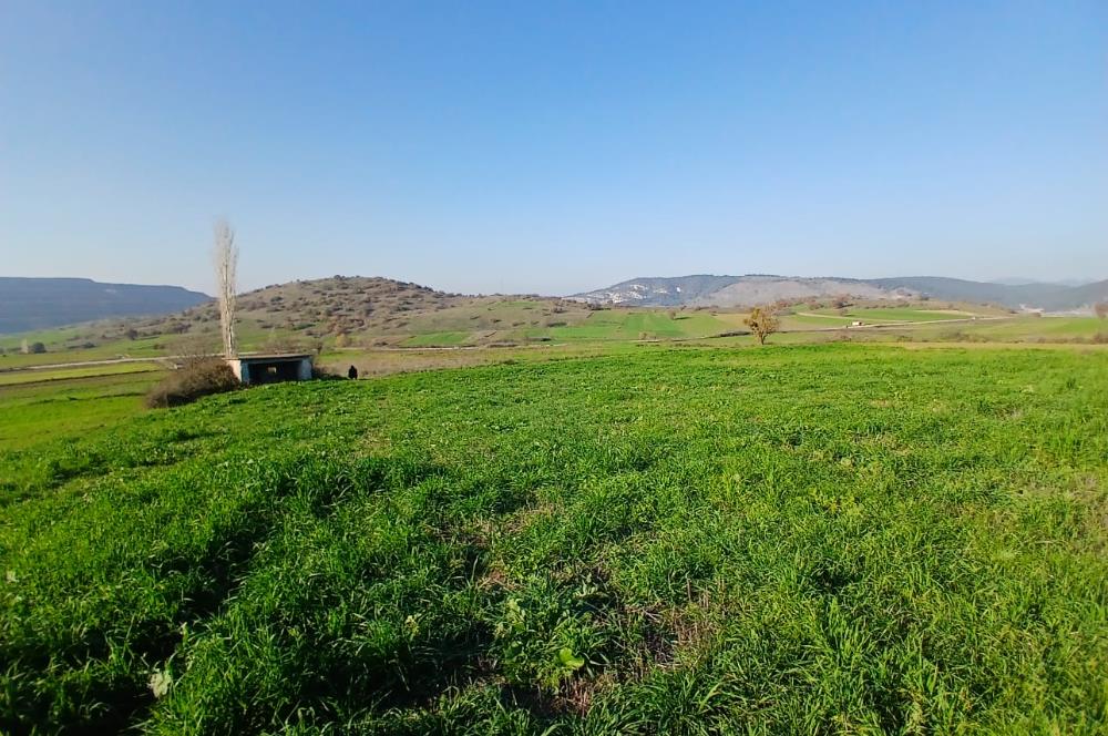 C21 LOCA'DAN BİGADİÇ ÇAMKÖY'DE DOĞA MANZARALI SATILIK TARLALAR