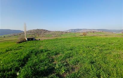 C21 LOCA'DAN BİGADİÇ ÇAMKÖY'DE DOĞA MANZARALI SATILIK TARLALAR