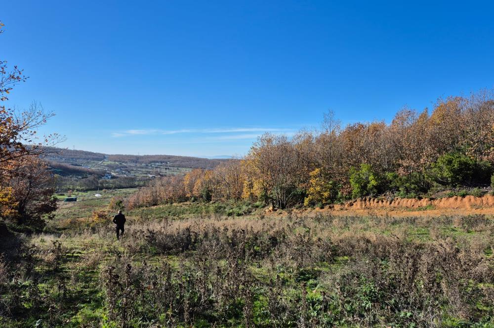 C21 Cius; Haydariye'de İmarlı Yolu Hazır 1852 m2 Arsa