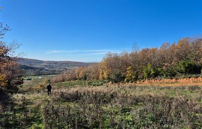 C21 Cius; Haydariye'de İmarlı Yolu Hazır 1852 m2 Arsa