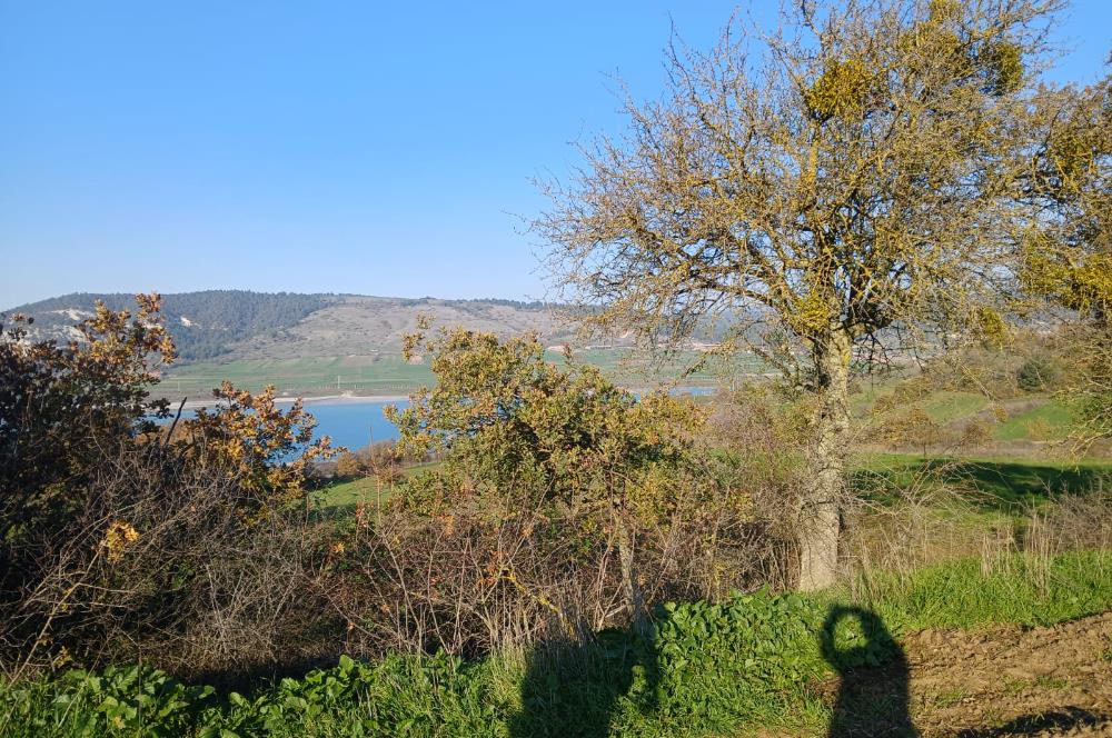 C21 LOCA'DAN BİGADİÇ ÇAMKÖY MAHALLESİNDE ACİL SATILIK TARLA