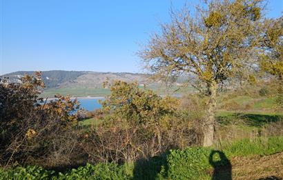 C21 LOCA'DAN BİGADİÇ ÇAMKÖY MAHALLESİNDE ACİL SATILIK TARLA