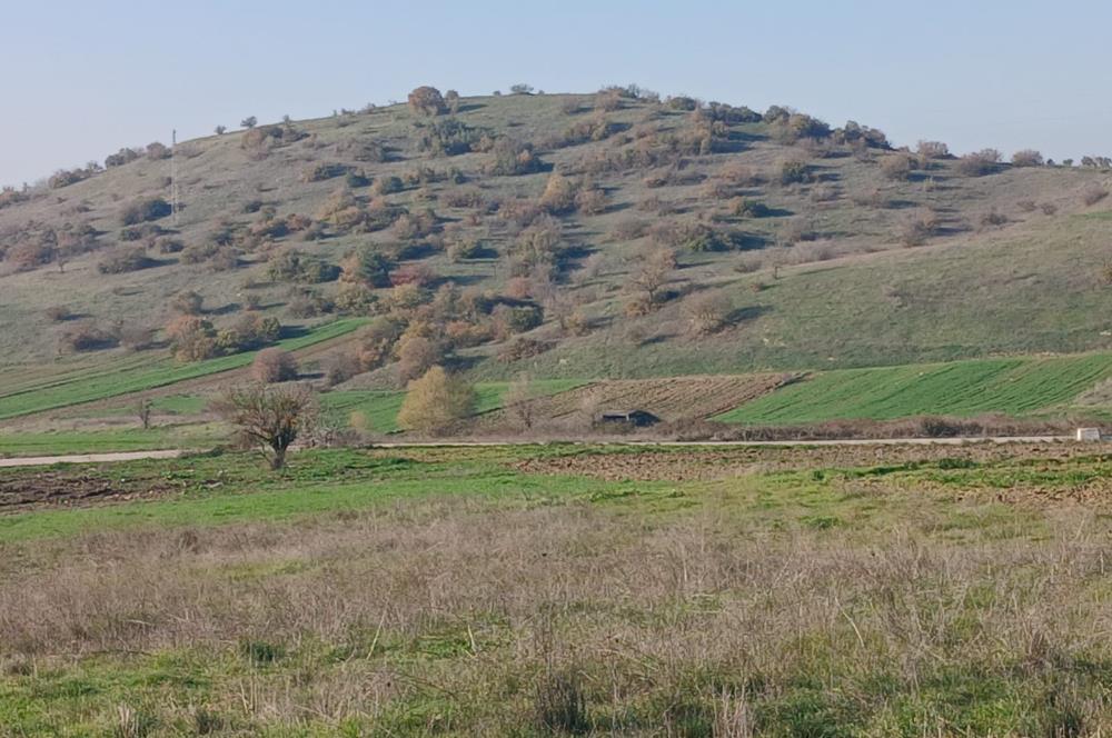 C21 LOCA'DAN BİGADİÇ ÇAMKÖY'DE DOĞA MANZARALI SATILIK TARLALAR