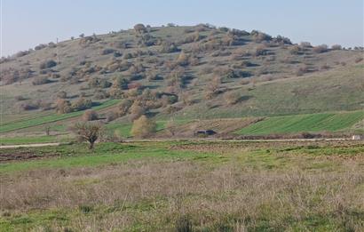 C21 LOCA'DAN BİGADİÇ ÇAMKÖY'DE DOĞA MANZARALI SATILIK TARLALAR