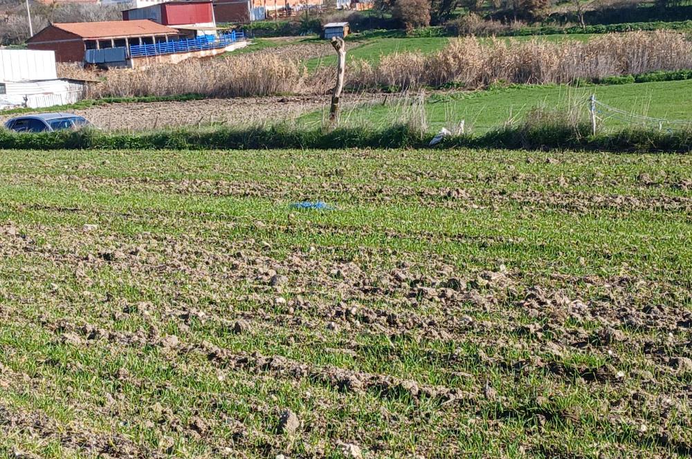 C21 LOCA'DAN BİGADİÇ ÇAMKÖY'DE GÖL MANZARALI 878M2 SATILIK TARLA