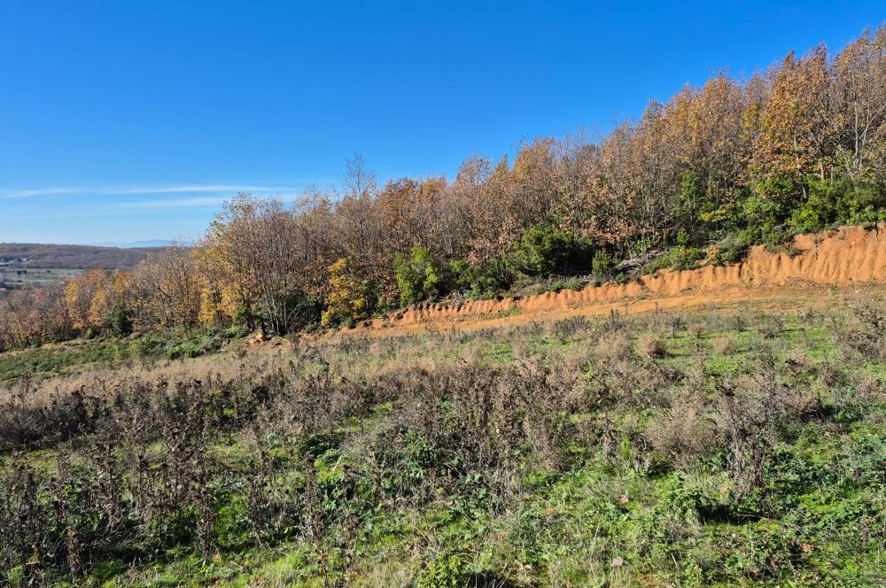 C21 Cius; Haydariye'de İmarlı Yolu Hazır 1852 m2 Arsa