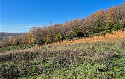 C21 Cius; Haydariye'de İmarlı Yolu Hazır 1852 m2 Arsa