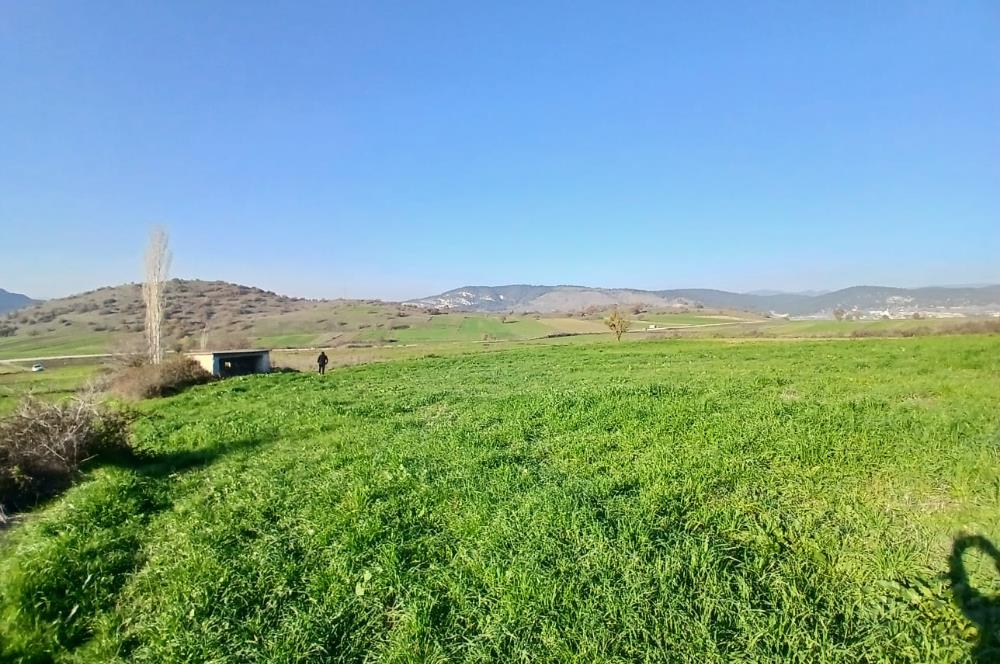 C21 LOCA'DAN BİGADİÇ ÇAMKÖY'DE DOĞA MANZARALI SATILIK TARLALAR