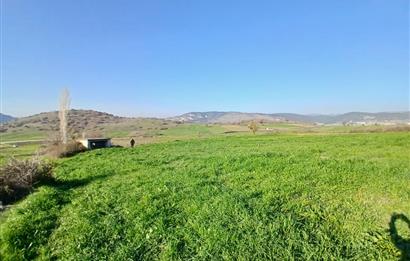 C21 LOCA'DAN BİGADİÇ ÇAMKÖY'DE DOĞA MANZARALI SATILIK TARLALAR