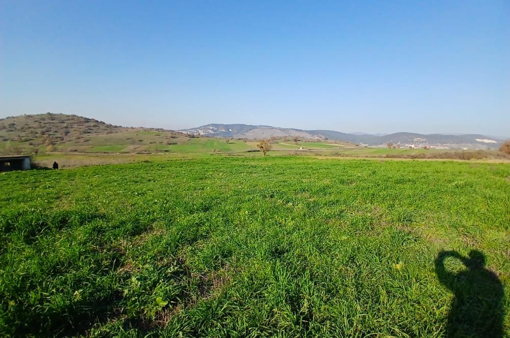 C21 LOCA'DAN BİGADİÇ ÇAMKÖY'DE DOĞA MANZARALI SATILIK TARLALAR