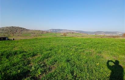 C21 LOCA'DAN BİGADİÇ ÇAMKÖY'DE DOĞA MANZARALI SATILIK TARLALAR