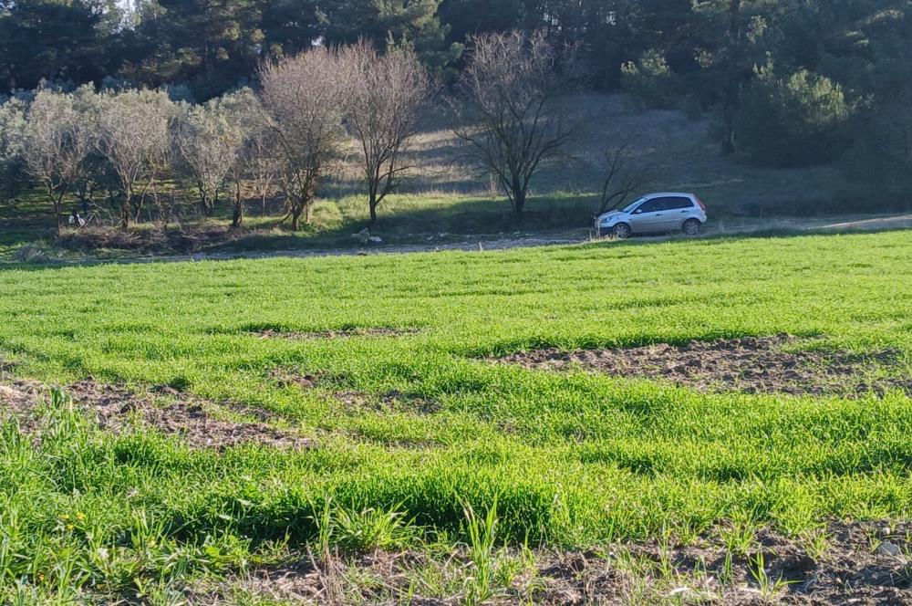 C21 LOCA'DAN BİGADİÇ ÇAMKÖY MAHALLESİNDE 1846,28M2 SATILIK TARLA