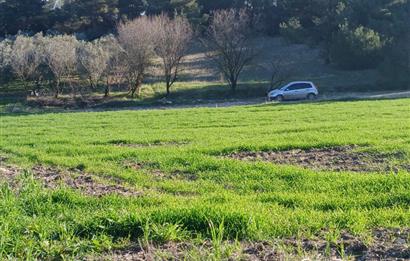 C21 LOCA'DAN BİGADİÇ ÇAMKÖY MAHALLESİNDE 1846,28M2 SATILIK TARLA