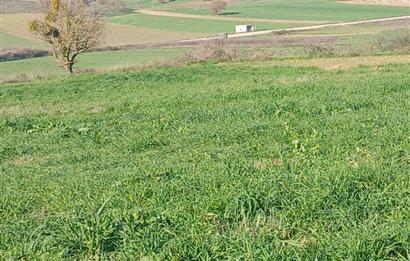 C21 LOCA'DAN BİGADİÇ ÇAMKÖY'DE DOĞA MANZARALI SATILIK TARLALAR